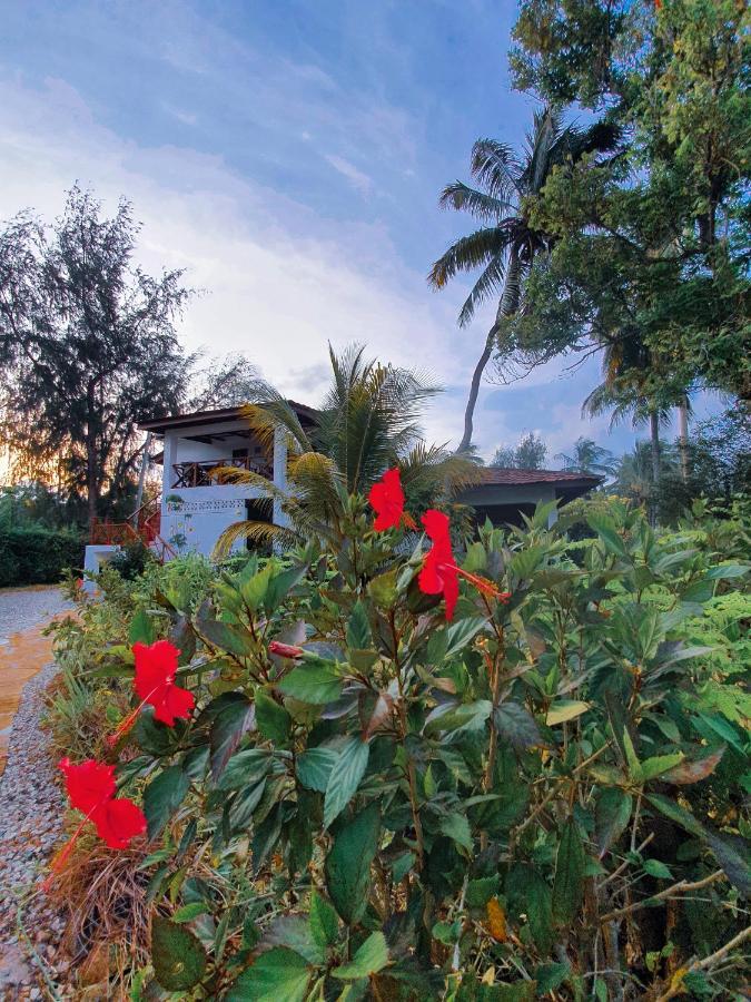 Flame Tree Cottages Nungwi Exterior photo